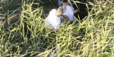 Ekran görüntüsü 2025-06-03 101139