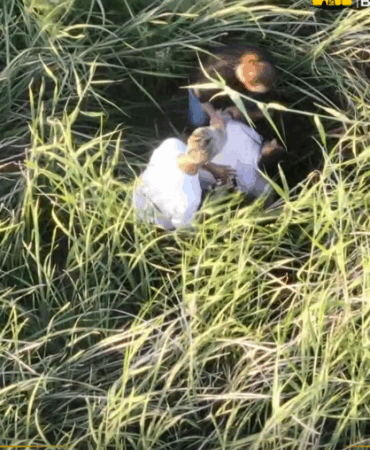 Ekran görüntüsü 2025-06-03 101139