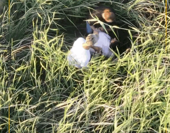 Ekran görüntüsü 2025-06-03 101139