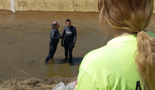 Ekran görüntüsü 2025-06-03 112033