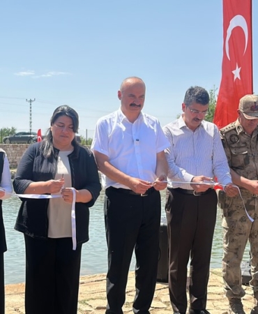 Ekran görüntüsü 2025-06-10 150313