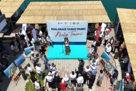 Ekran görüntüsü 2025-06-10 160419