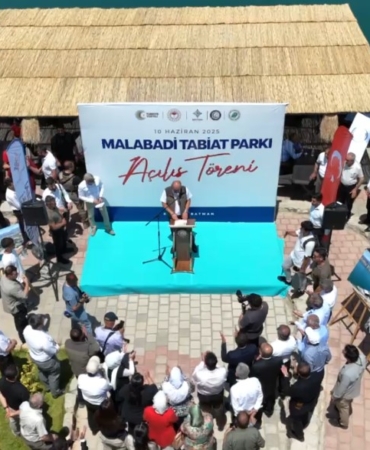 Ekran görüntüsü 2025-06-10 160419