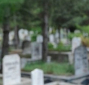 Ekran görüntüsü 2025-06-12 120544