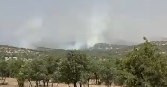 Mardin’de yangın: Orman yangını yeniden alevlendi