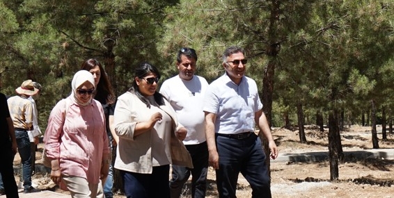 Nasıroğlu Hatıra Ormanına yürüyüş yolu, kamelya ve piknik masaları