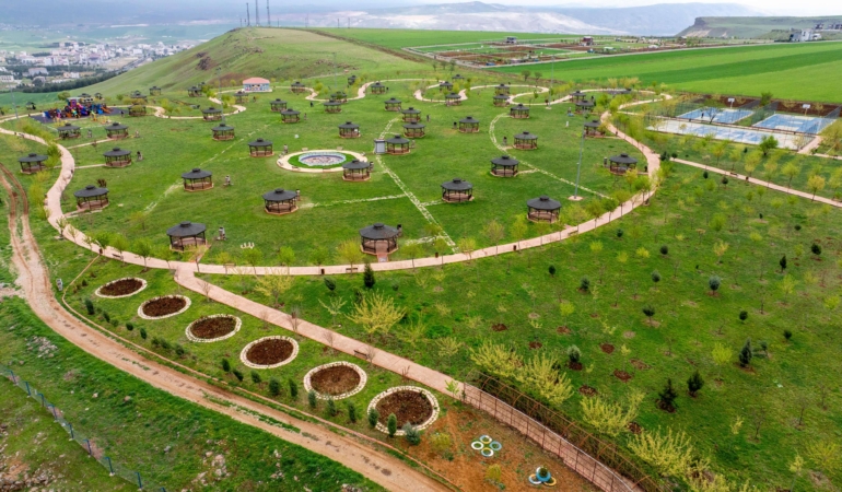 IMG-20250602-WA0051 (1)