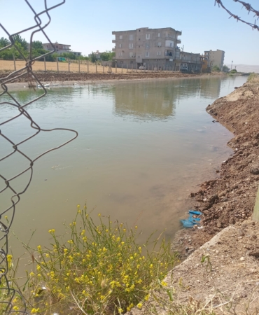 WhatsApp Image 2025-06-04 at 00.49.15