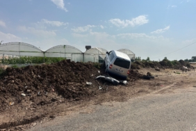 WhatsApp Image 2025-06-12 at 17.14.48