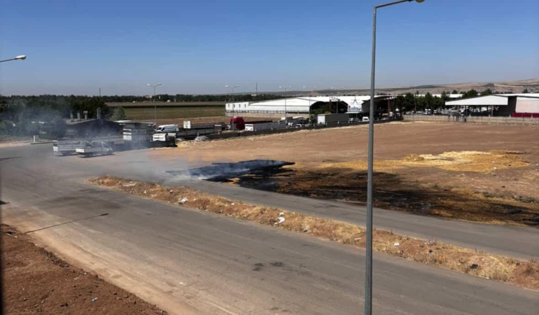 WhatsApp Image 2025-06-21 at 15.23.36