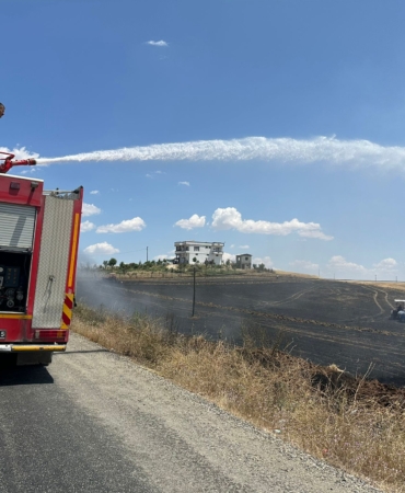 WhatsApp Image 2025-06-23 at 12.51.59