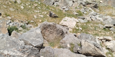 WhatsApp Image 2025-06-23 at 15.47.34