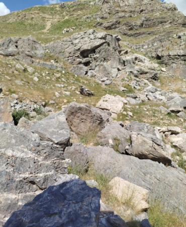 WhatsApp Image 2025-06-23 at 15.47.34