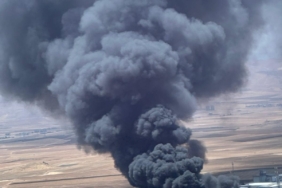 WhatsApp Image 2025-06-27 at 11.56.26