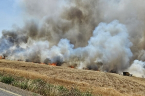 Kızıltepe’de buğday tarlaları yandı: 350 dönüm zarar gördü anız yangın