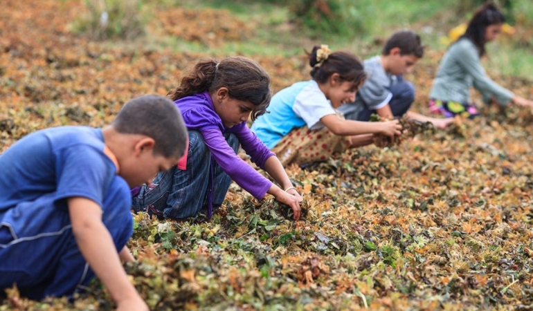çocuk işçiliği