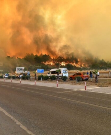 izmir orman yangın