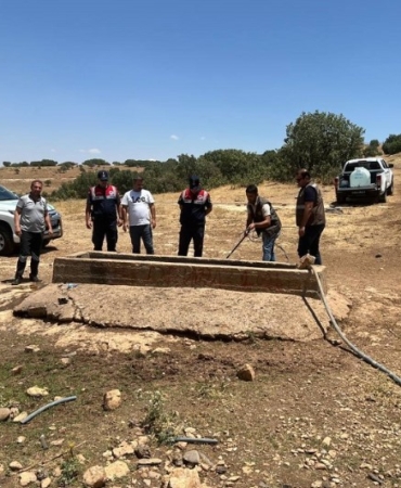 Ekran görüntüsü 2025-07-02 102910