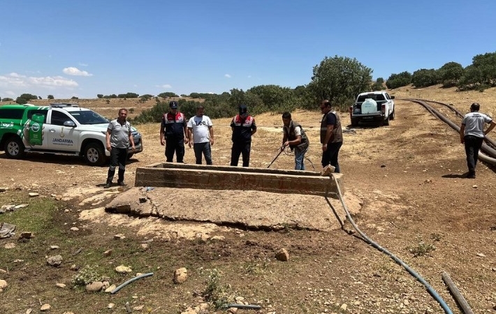 Ekran görüntüsü 2025-07-02 102910