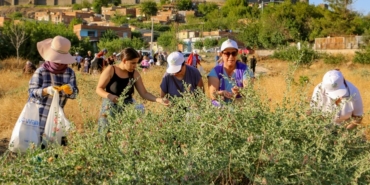 Ekran görüntüsü 2025-07-10 112834