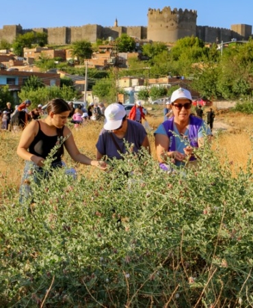 Ekran görüntüsü 2025-07-10 112834