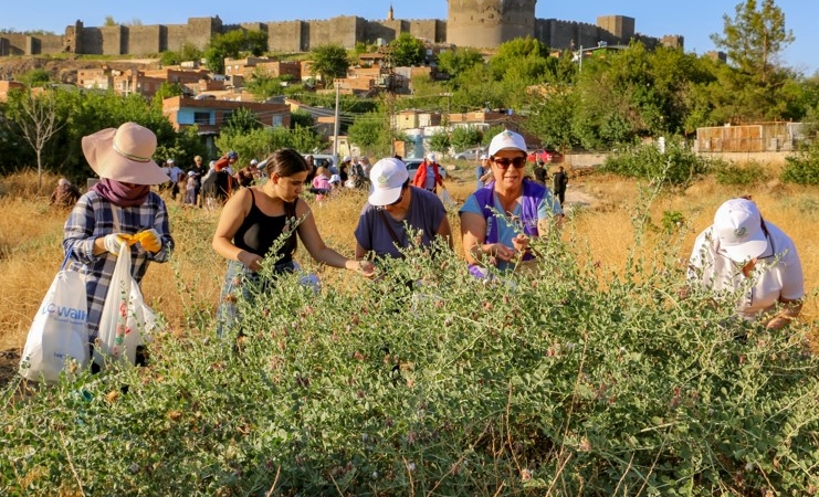 Ekran görüntüsü 2025-07-10 112834