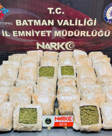 uyuşturucu skunk