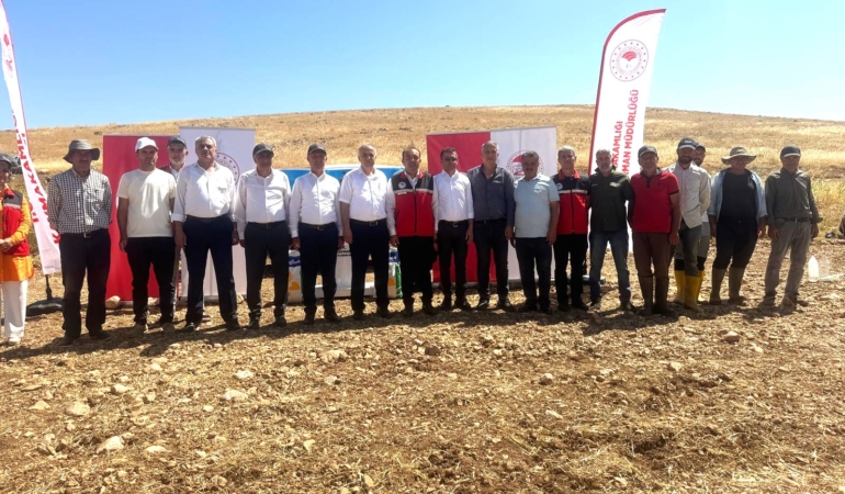 WhatsApp Image 2025-07-10 at 11.59.23