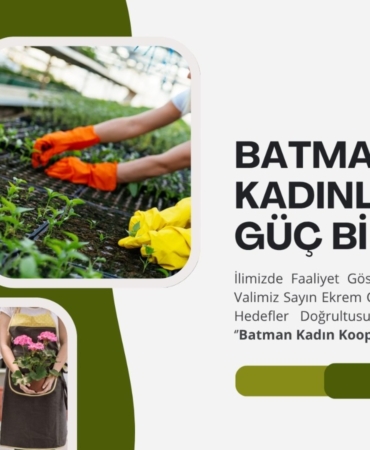 WhatsApp Image 2025-07-10 at 12.05.03