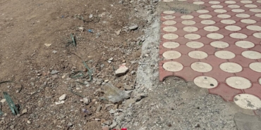 WhatsApp Image 2025-07-10 at 13.15.28 (1)