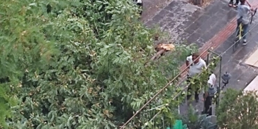 WhatsApp Image 2025-07-15 at 13.27.10