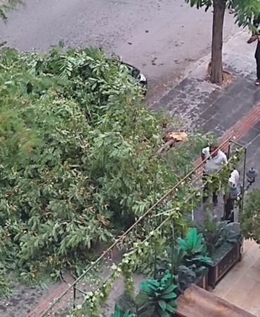 WhatsApp Image 2025-07-15 at 13.27.10