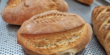 WhatsApp Image 2025-07-17 at 08.34.49 (2)