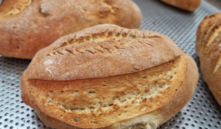 WhatsApp Image 2025-07-17 at 08.34.49 (2)