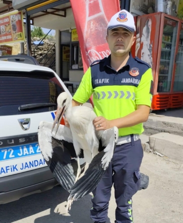 WhatsApp Image 2025-07-22 at 10.51.53