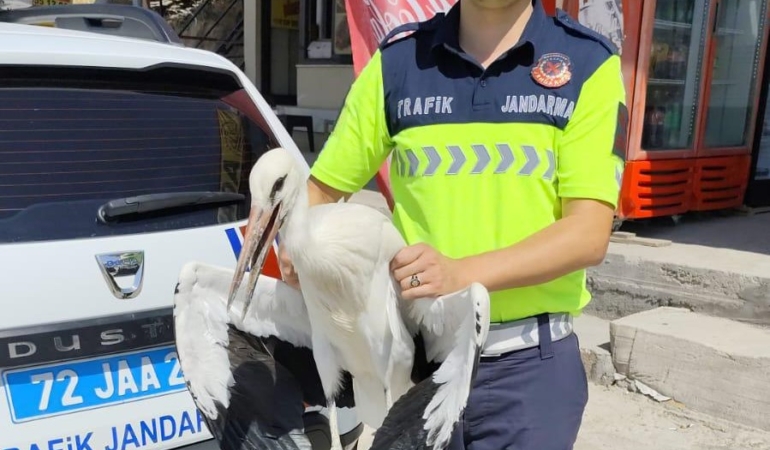 WhatsApp Image 2025-07-22 at 10.51.53