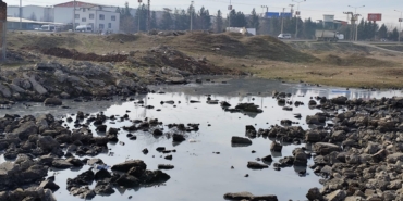 WhatsApp Image 2025-07-23 at 13.18.03 (1)