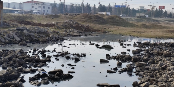 Batman Belediyesi’nden kalıcı haşere mücadelesi: Bataklıklar kurutuldu