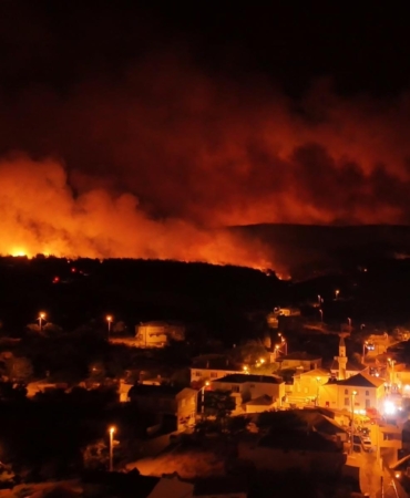 tekirdağ yangın orman