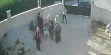 yargitaydedeogullari