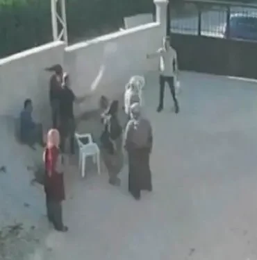 yargitaydedeogullari