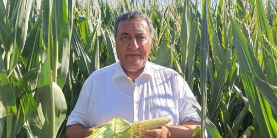 Mısır alım fiyatına tepki: Üretici zarar edecek, ithalat artacak