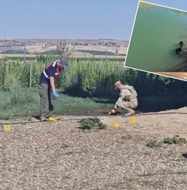 4LT5E_fp3EO1VgiREyAlwA