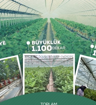 Ekran görüntüsü 2025-08-14 111346