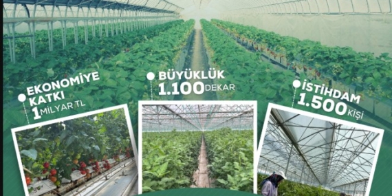 Bakan paylaştı: Batman’da dev sera yatırımı hayata geçiyor