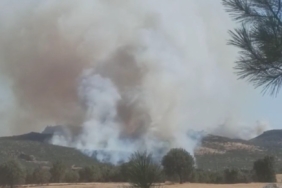 Ekran görüntüsü 2025-08-15 162946