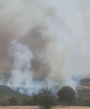 Ekran görüntüsü 2025-08-15 162946