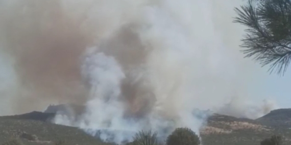 Diyarbakır Hani’de de orman yangını büyüyor