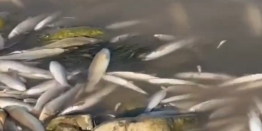 Ekran görüntüsü 2025-08-23 102410