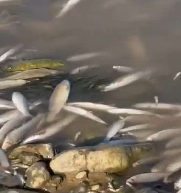 Ekran görüntüsü 2025-08-23 102410